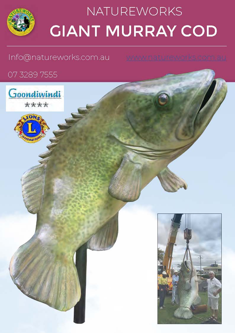 Natureworks Australia Murray Cod - Giant - Custom sculpture - by Natureworks for Lions Club - Goondawindi - Public Art display -shown close up of fish