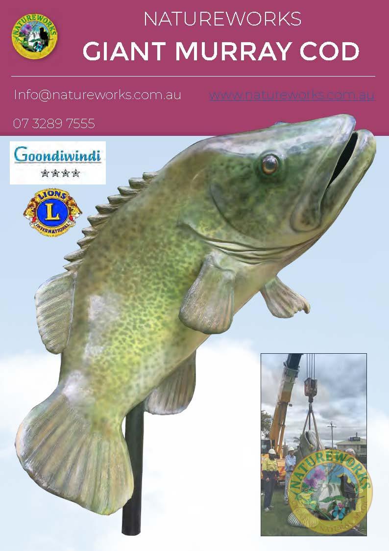 Natureworks Australia Murray Cod - Giant - Custom sculpture - by Natureworks for Lions Club - Goondawindi - Public Art display -shown close up of fish
