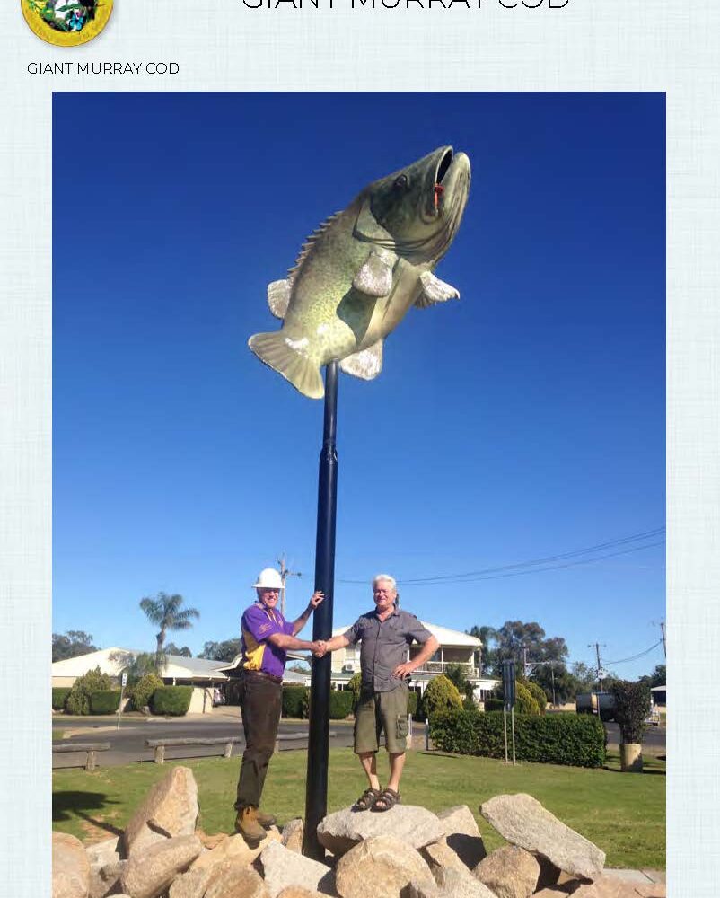 Murray Cod - Giant - Custom sculpture - by Natureworks for Lions Club - Goondawindi - Public Art display -shown- on pole in public park - With David and Lions club member - close up