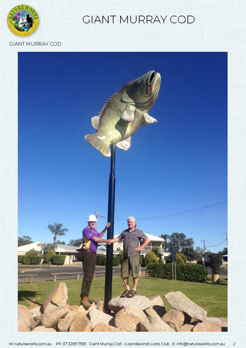 Natureworks Australia Murray Cod - Giant - Custom sculpture - by Natureworks for Lions Club - Goondawindi - Public Art display -shown- on pole in public park - With David and Lions club member - close up