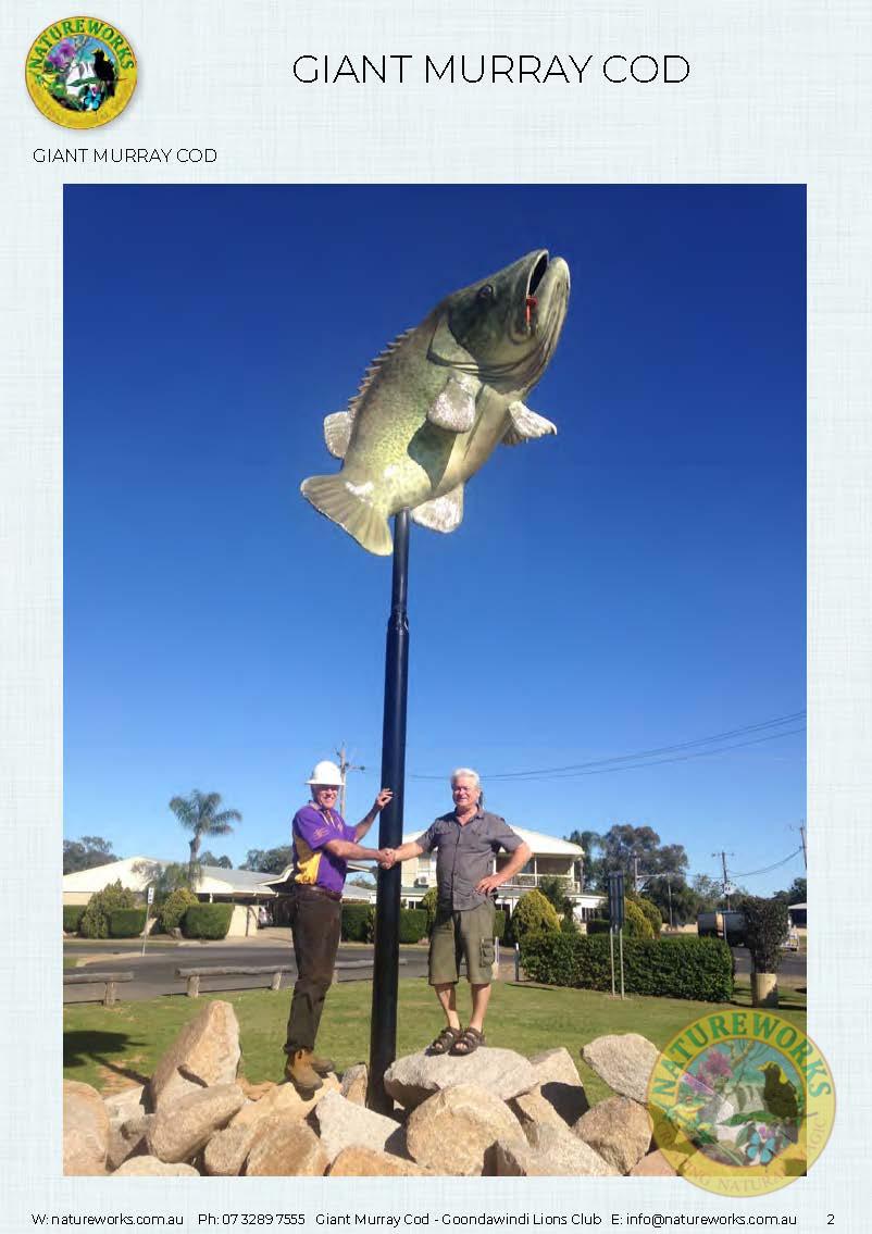 Natureworks Australia Murray Cod - Giant - Custom sculpture - by Natureworks for Lions Club - Goondawindi - Public Art display -shown- on pole in public park - With David and Lions club member - close up