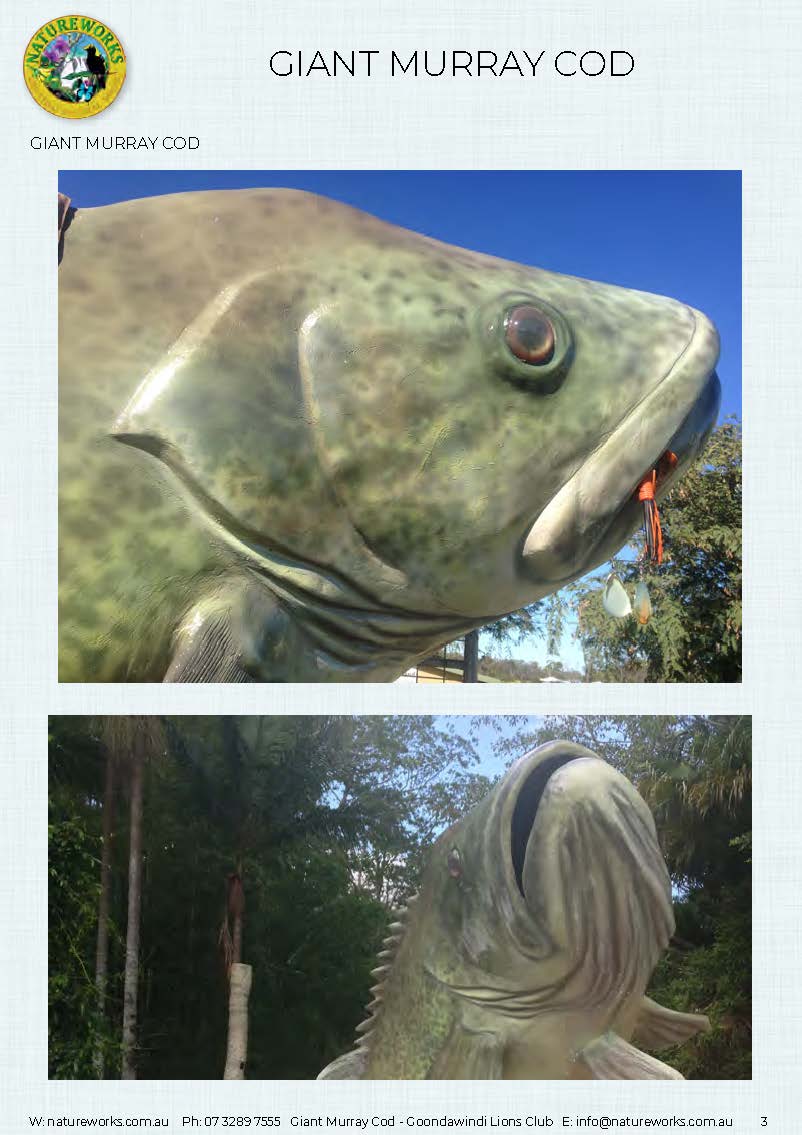 Natureworks Australia Murray Cod - Giant - Custom sculpture - by Natureworks for Lions Club - Goondawindi - Public Art display -showing close up of skin detail and gills.