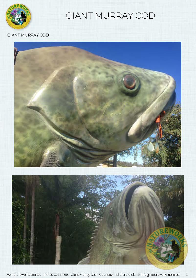 Natureworks Australia Murray Cod - Giant - Custom sculpture - by Natureworks for Lions Club - Goondawindi - Public Art display -showing close up of skin detail and gills.