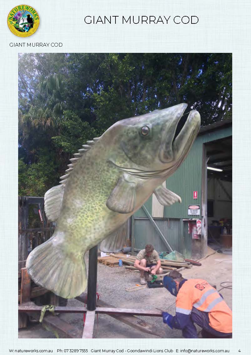 Natureworks Australia Murray Cod - Giant - Custom sculpture - by Natureworks for Lions Club - Goondawindi - Public Art display -showing close up side view of whole fish at Natureworks Studio