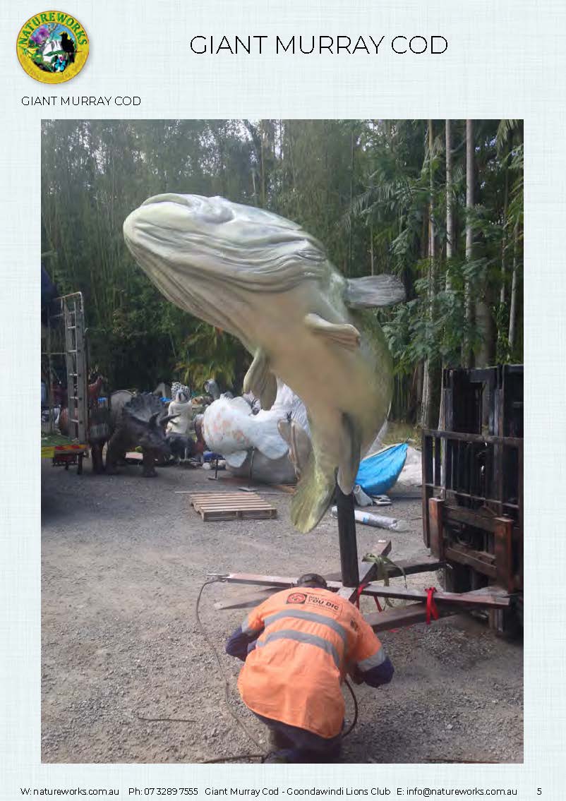 Natureworks Australia Murray Cod - Giant - Custom sculpture - by Natureworks for Lions Club - Goondawindi - Public Art display -showing close up side view of whole fish at Natureworks Studio - showing Keith - Mural artists at Natureworks studio