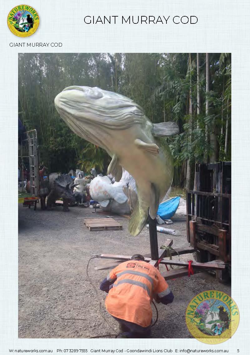 Natureworks Australia Murray Cod - Giant - Custom sculpture - by Natureworks for Lions Club - Goondawindi - Public Art display -showing close up side view of whole fish at Natureworks Studio - showing Keith - Mural artists at Natureworks studio
