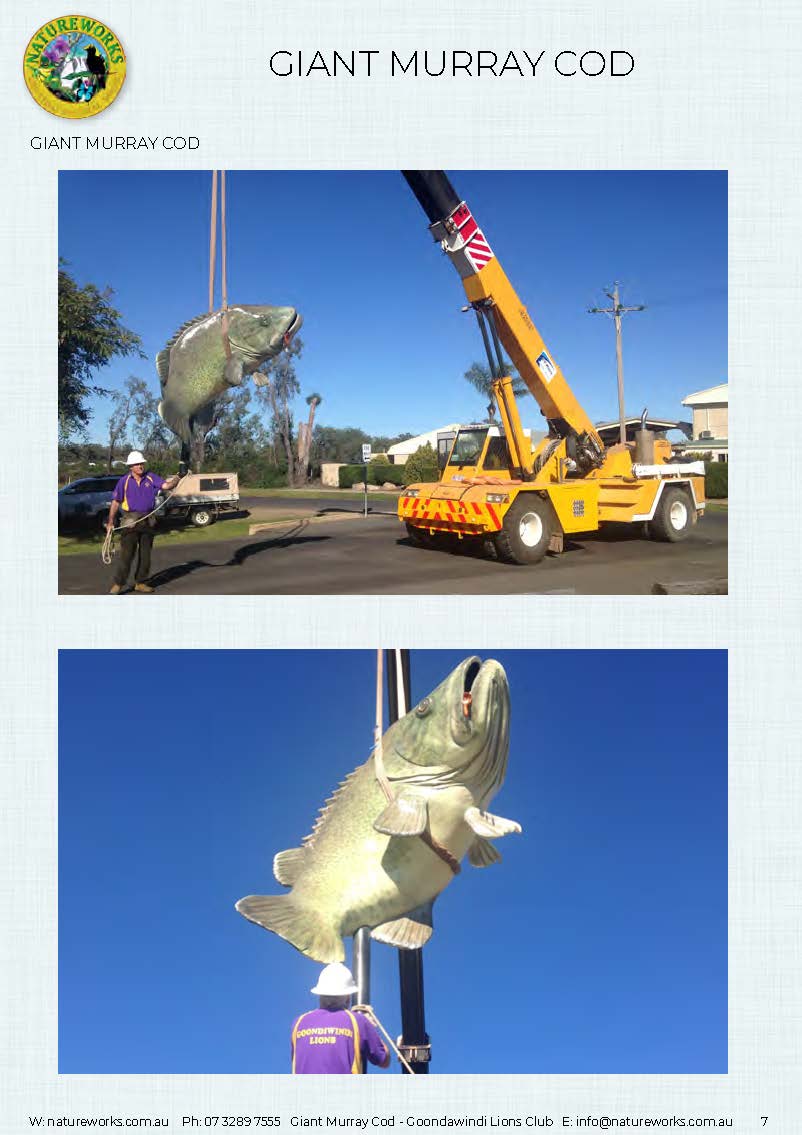 Natureworks Australia Murray Cod - Giant - Custom sculpture - by Natureworks for Lions Club - Goondawindi - Public Art display -showng crane truck installation in park