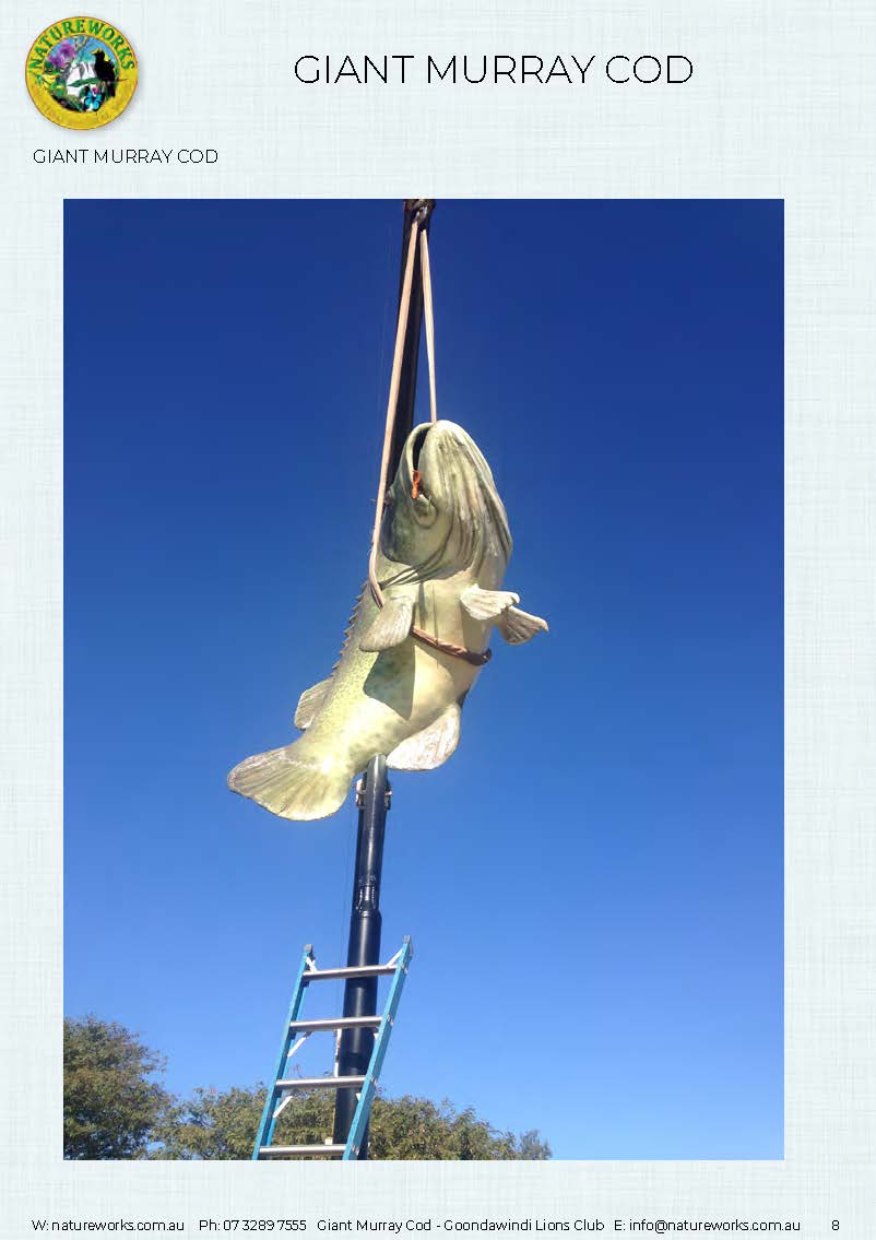 Natureworks Australia Murray Cod - Giant - Custom sculpture - by Natureworks for Lions Club - Goondawindi - Public Art display -shown Hangin - underneath view