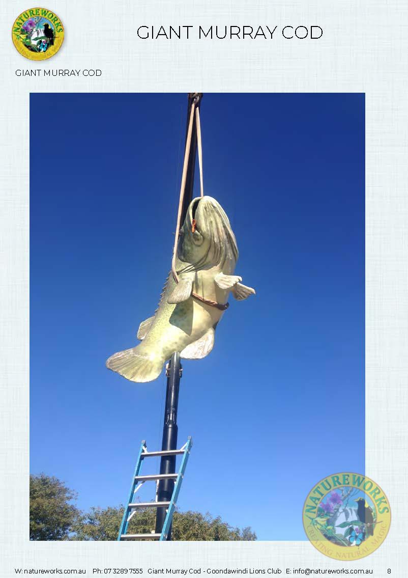Natureworks Australia Murray Cod - Giant - Custom sculpture - by Natureworks for Lions Club - Goondawindi - Public Art display -shown Hangin - underneath view