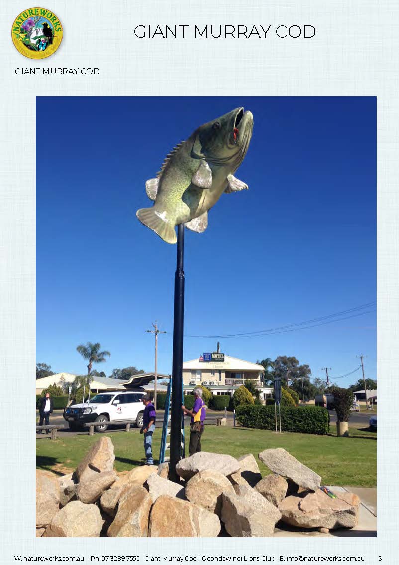 Natureworks Australia Murray Cod - Giant - Custom sculpture - by Natureworks for Lions Club - Goondawindi - Public Art display -shown- on pole in public park