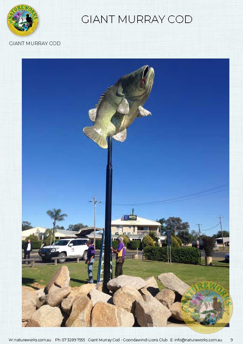 Natureworks Australia Murray Cod - Giant - Custom sculpture - by Natureworks for Lions Club - Goondawindi - Public Art display -shown- on pole in public park