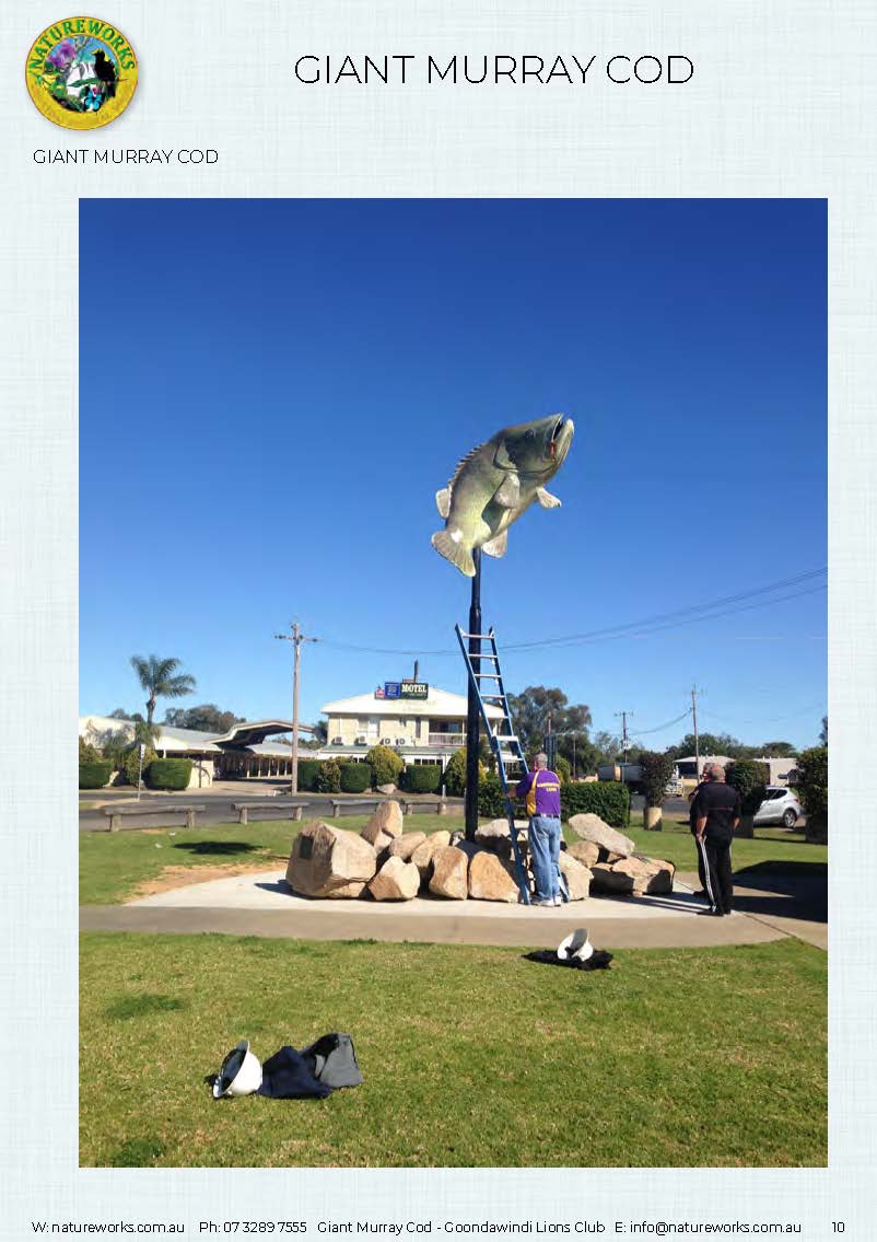 Natureworks Australia Murray Cod - Giant - Custom sculpture - by Natureworks for Lions Club - Goondawindi - Public Art display -shown- on pole in public park - With David and Lions club member