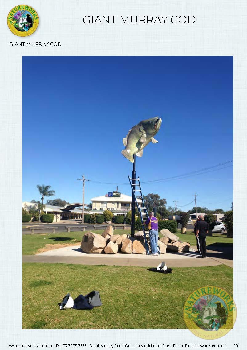 Natureworks Australia Murray Cod - Giant - Custom sculpture - by Natureworks for Lions Club - Goondawindi - Public Art display -shown- on pole in public park - With David and Lions club member