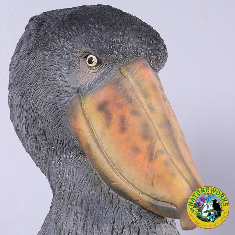 Natureworks Australia Shoebill Scullpture - by Natureworks artists - custom designed for museum displays - standing on a base - SKU 230099 - close up of head detail