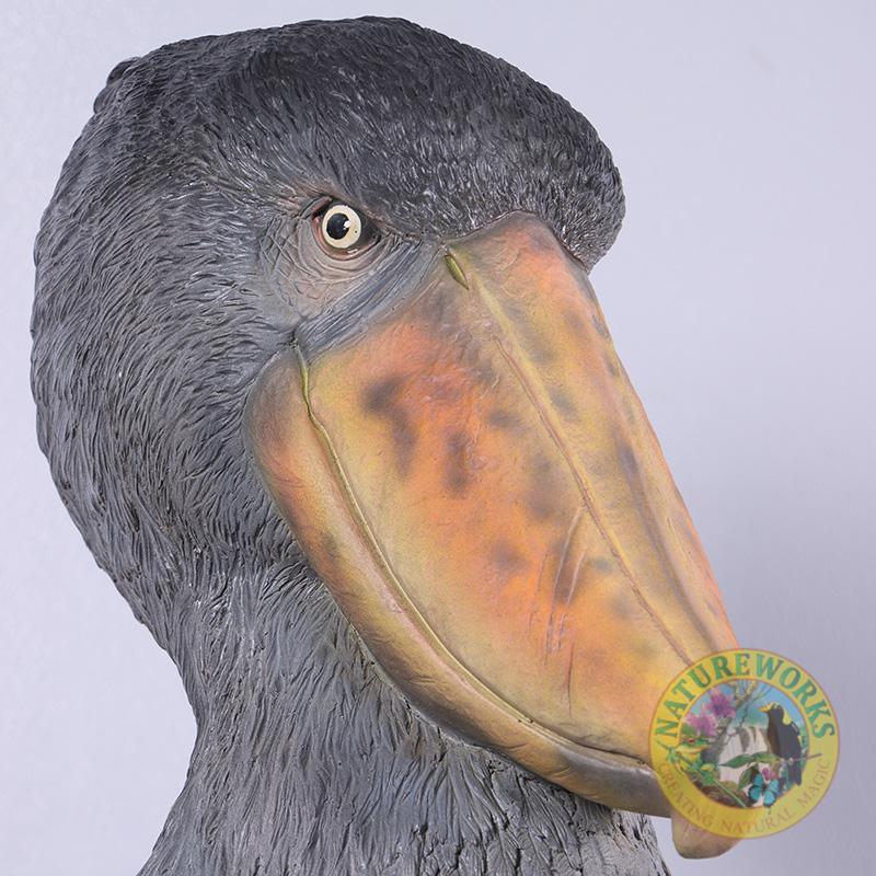Natureworks Australia Shoebill Scullpture - by Natureworks artists - custom designed for museum displays - standing on a base - SKU 230099 - close up of head detail
