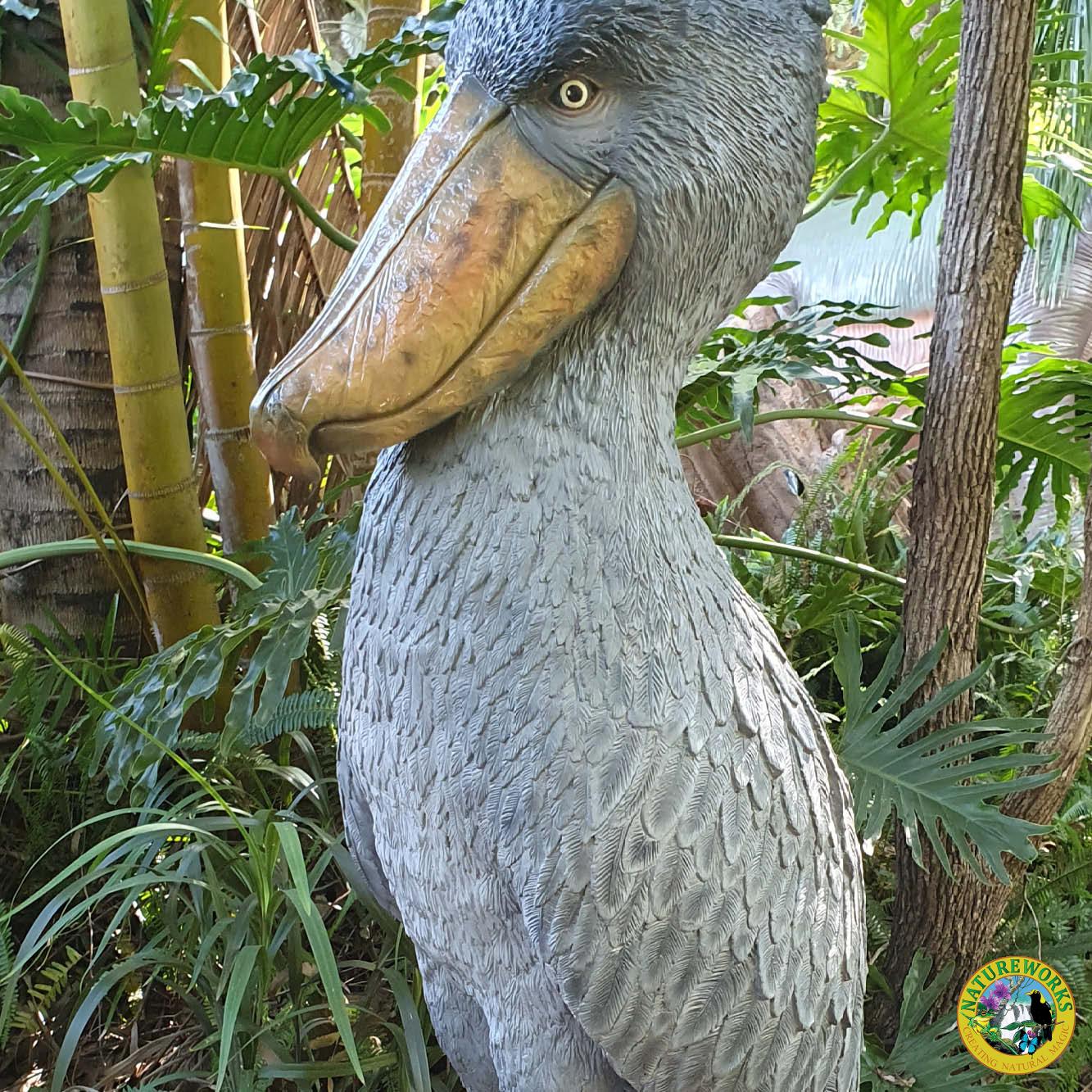 Natureworks Australia Shoebill - Stork like bird-standing pose-on a base plate-sculpture for sale - shown outside at Natureworks Studio. SKU 230099