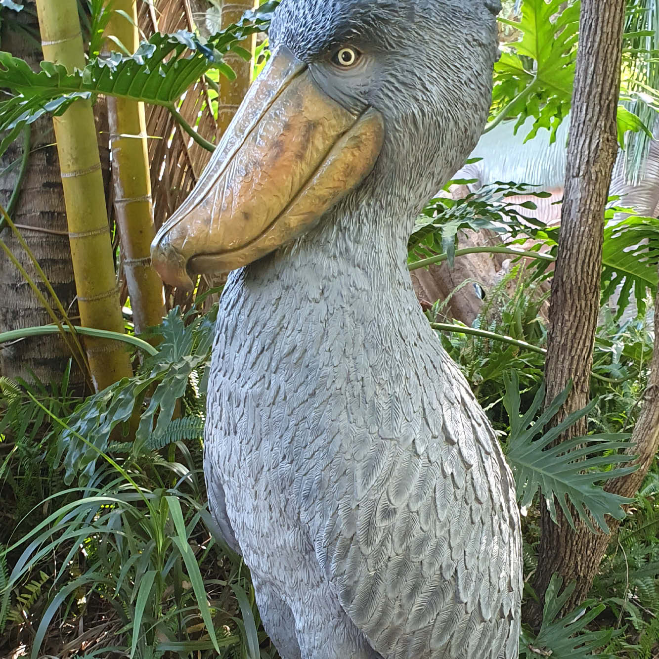 Natureworks Australia Shoebill - Stork like bird-standing pose-on a base plate-sculpture for sale - shown outside at Natureworks Studio. SKU 230099