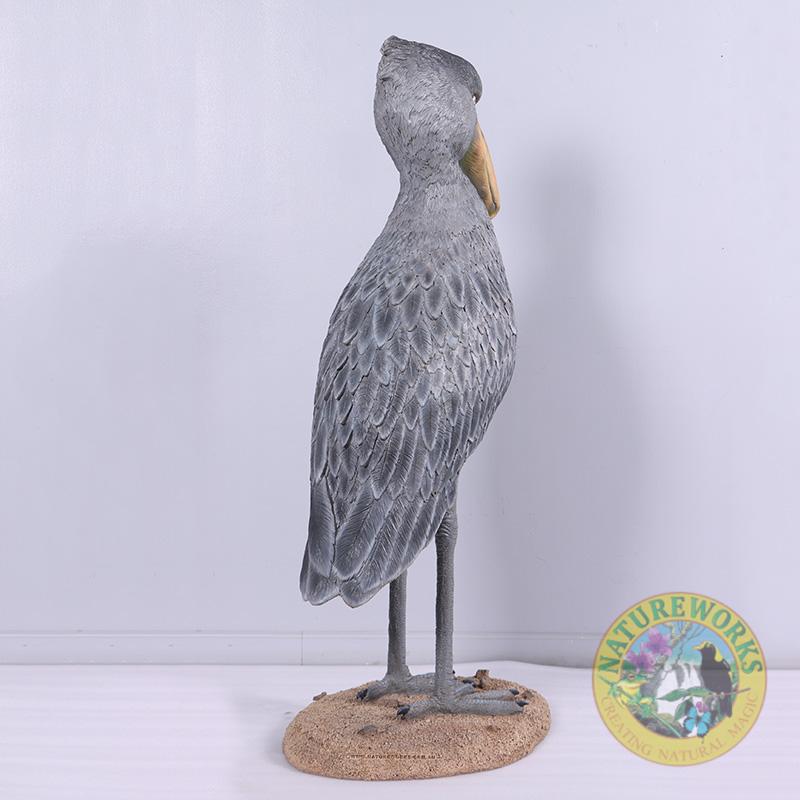 Natureworks Australia Shoebill Scullpture - by Natureworks artists - custom designed for museum displays - standing on a base - SKU 230099 - Rear angle view