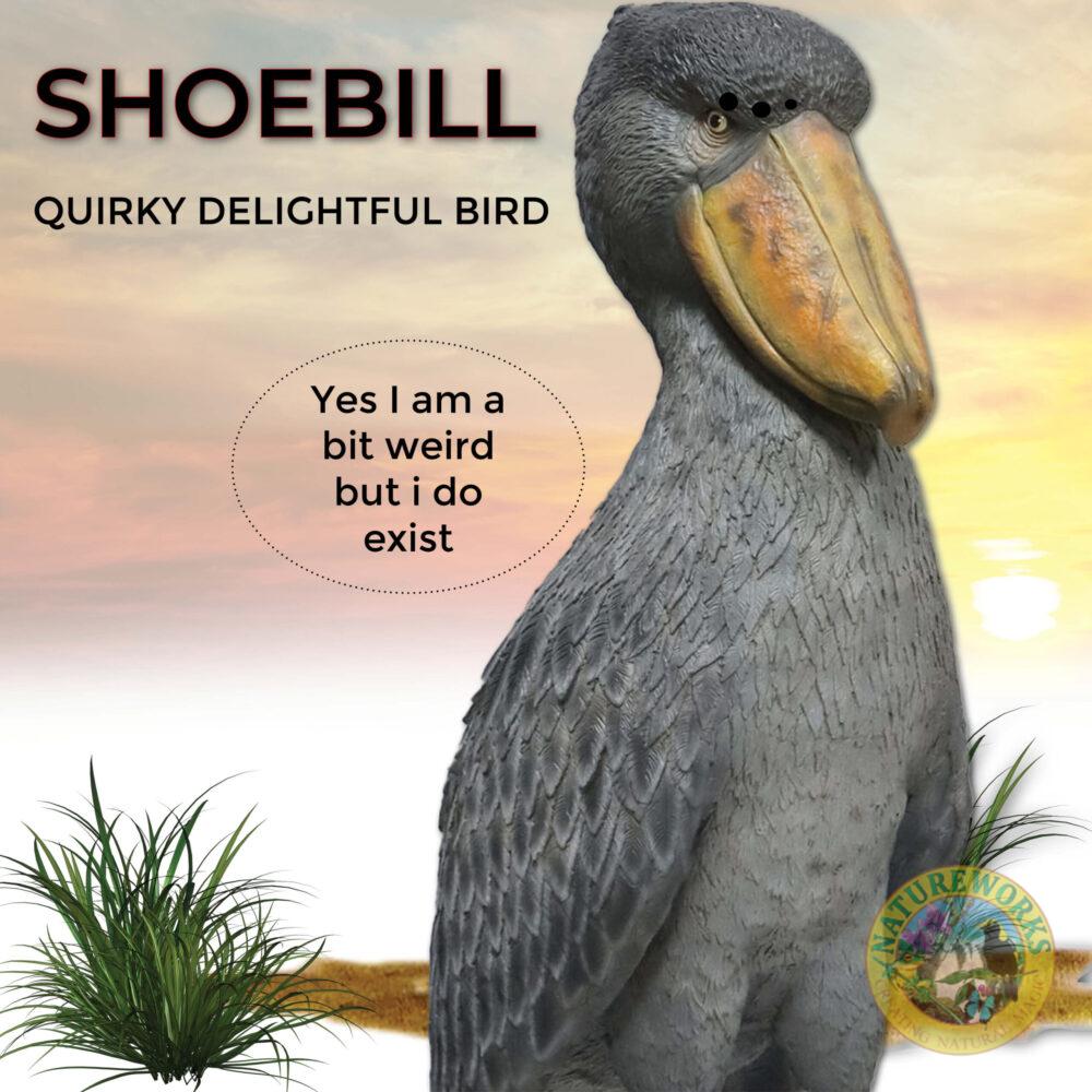 Natureworks Australia Shoebill - Stork like bird-standing pose-on a base plate-sculpture for sale - close up of detail- SKU 230099