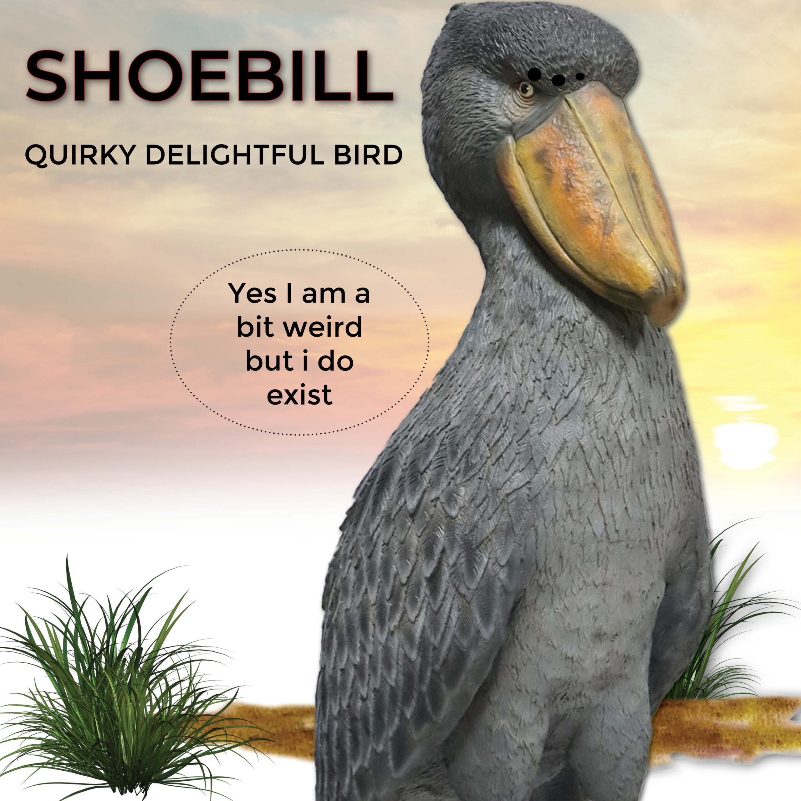 Natureworks Australia Shoebill - Stork like bird-standing pose-on a base plate-sculpture for sale - close up of detail- SKU 230099