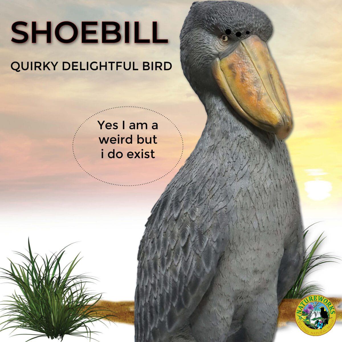 Natureworks Australia Shoebill - Stork like bird - standing pose - on a base plate - sculpture for sale - close up of detail