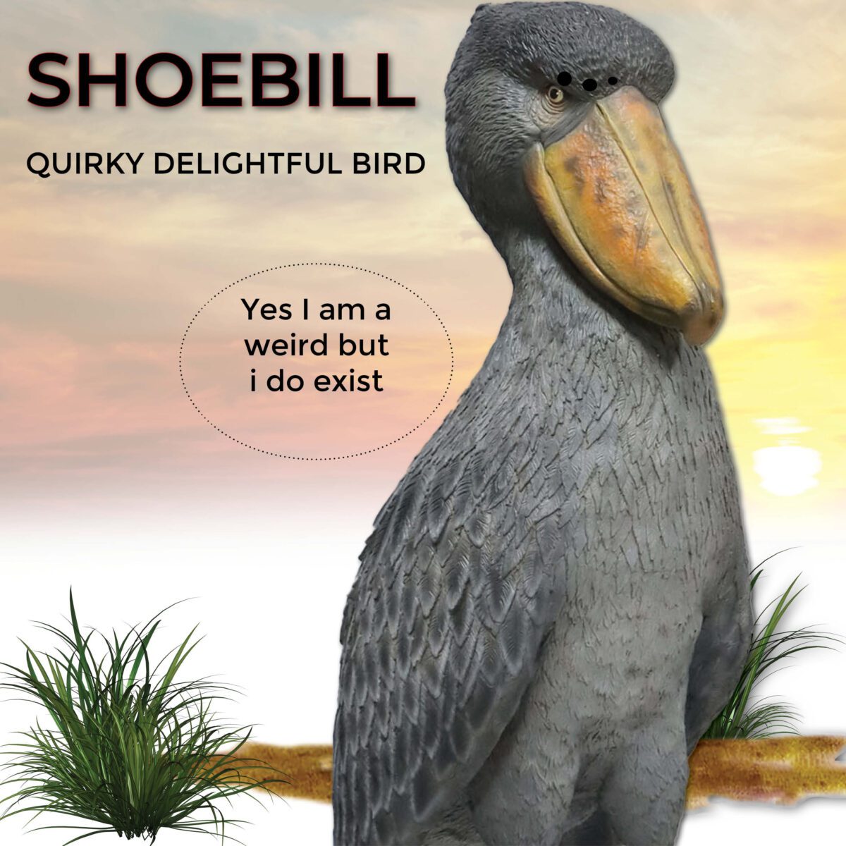 Natureworks Australia Shoebill - Stork like bird - standing pose - on a base plate - sculpture for sale - close up of detail