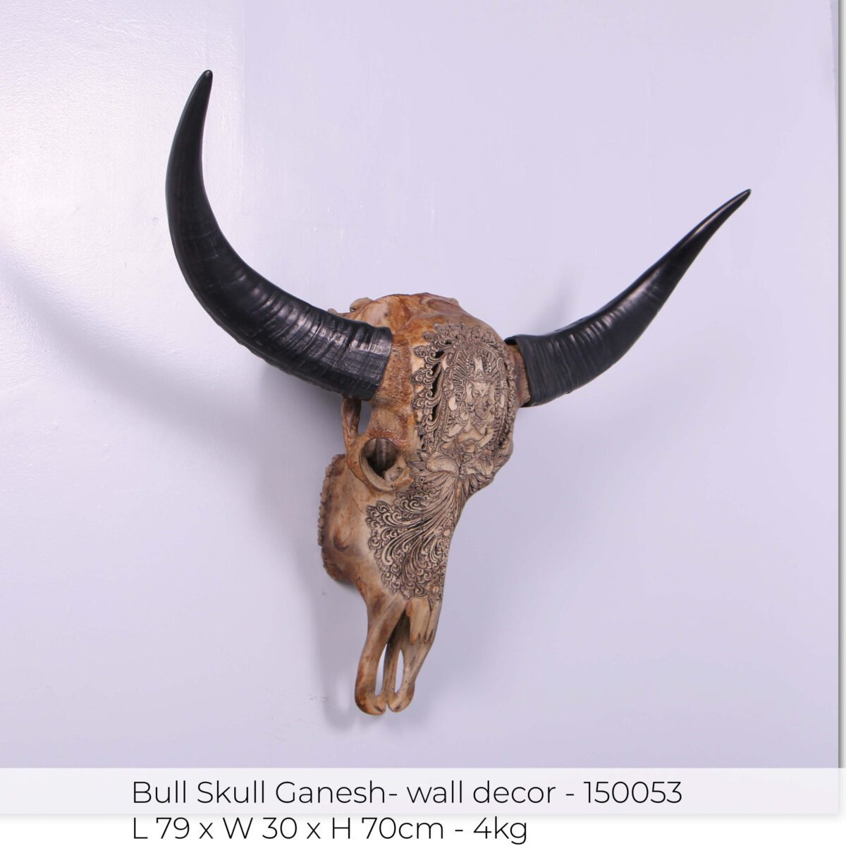 Natureworks Australia Bull Skull Ganesh -Wall Decor - 150053 - Natural finish - L 79cm x W30cm x H 70cm - 4kg - shown handing on wall