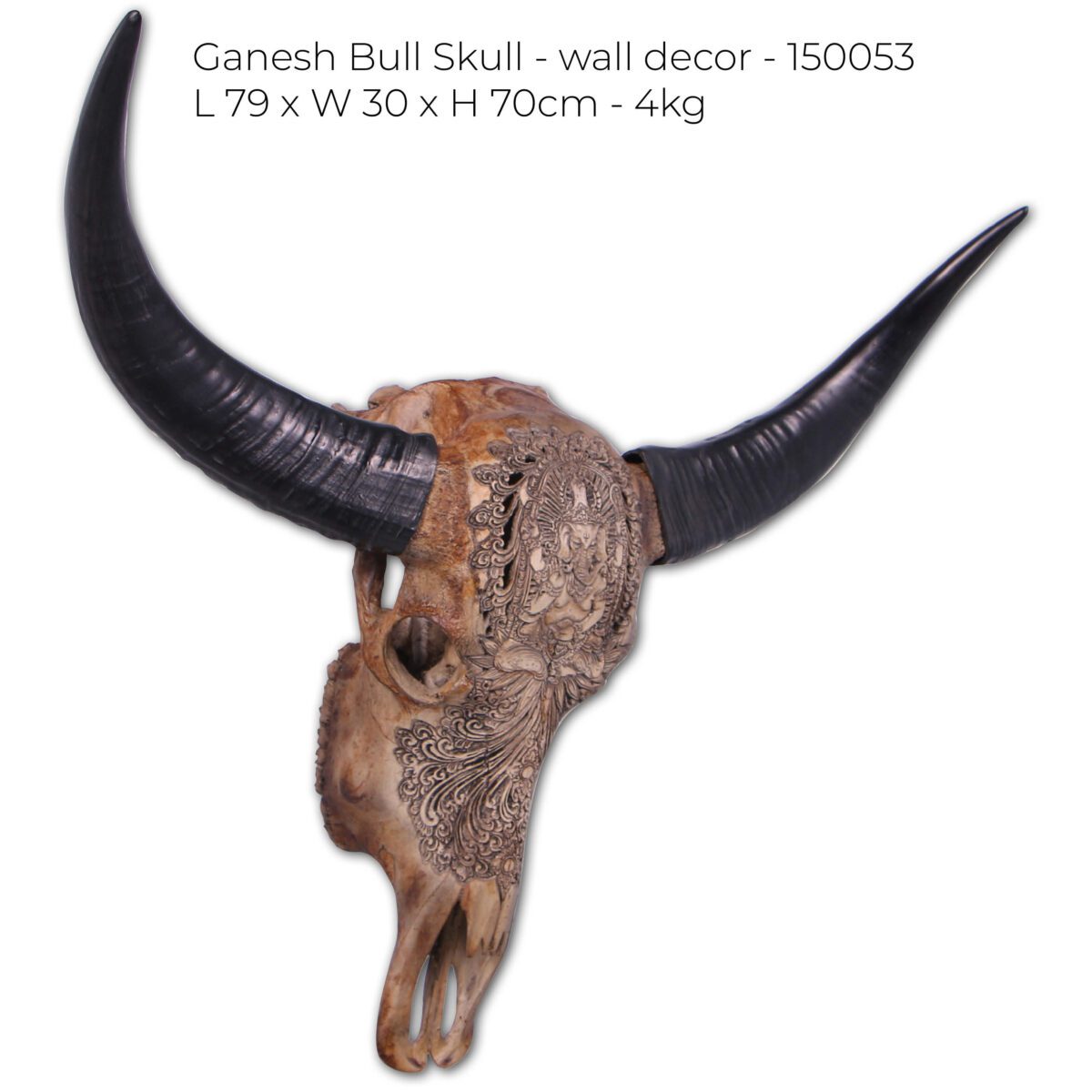Natureworks Australia Bull Skull Ganesh -Wall Decor - 150053 - Natural finish - L 79cm x W30cm x H 70cm - 4kg