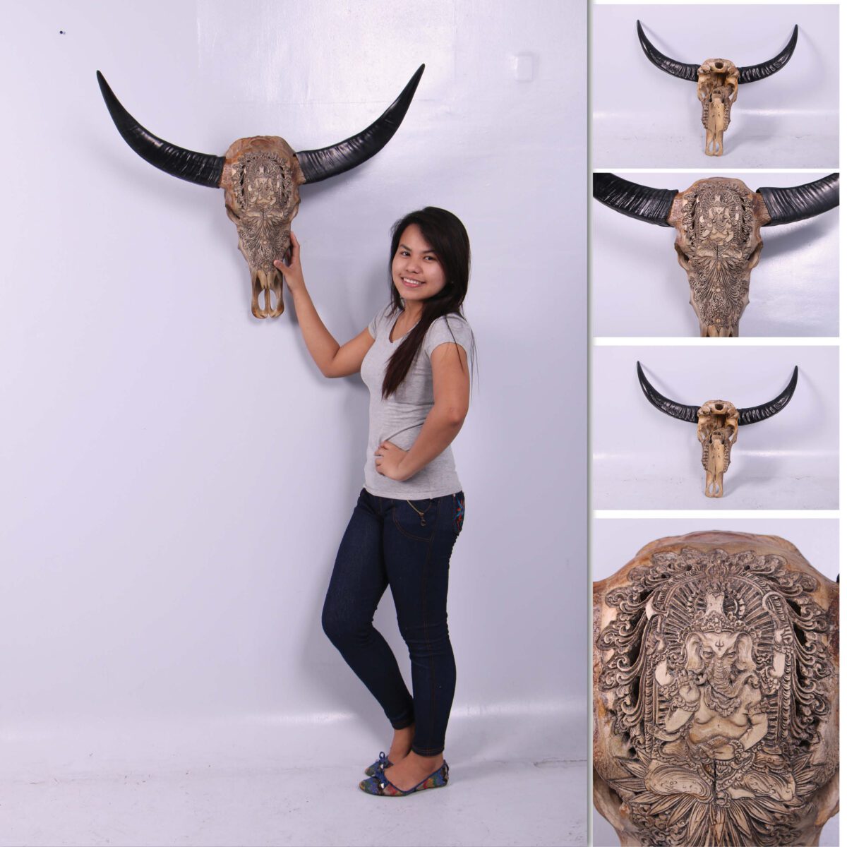 Natureworks Australia Bull Skull Ganesh -Wall Decor - 150053 - Natural finish - L 79cm x W30cm x H 70cm - 4kg - shown with lady and hanging on wall