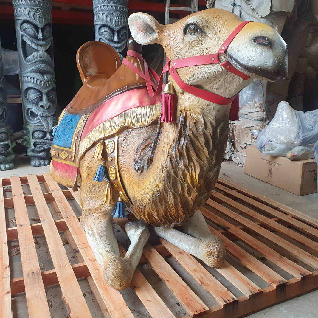 Natureworks Australia Lying Camel - Front angle view - Y.3571- life-size replica