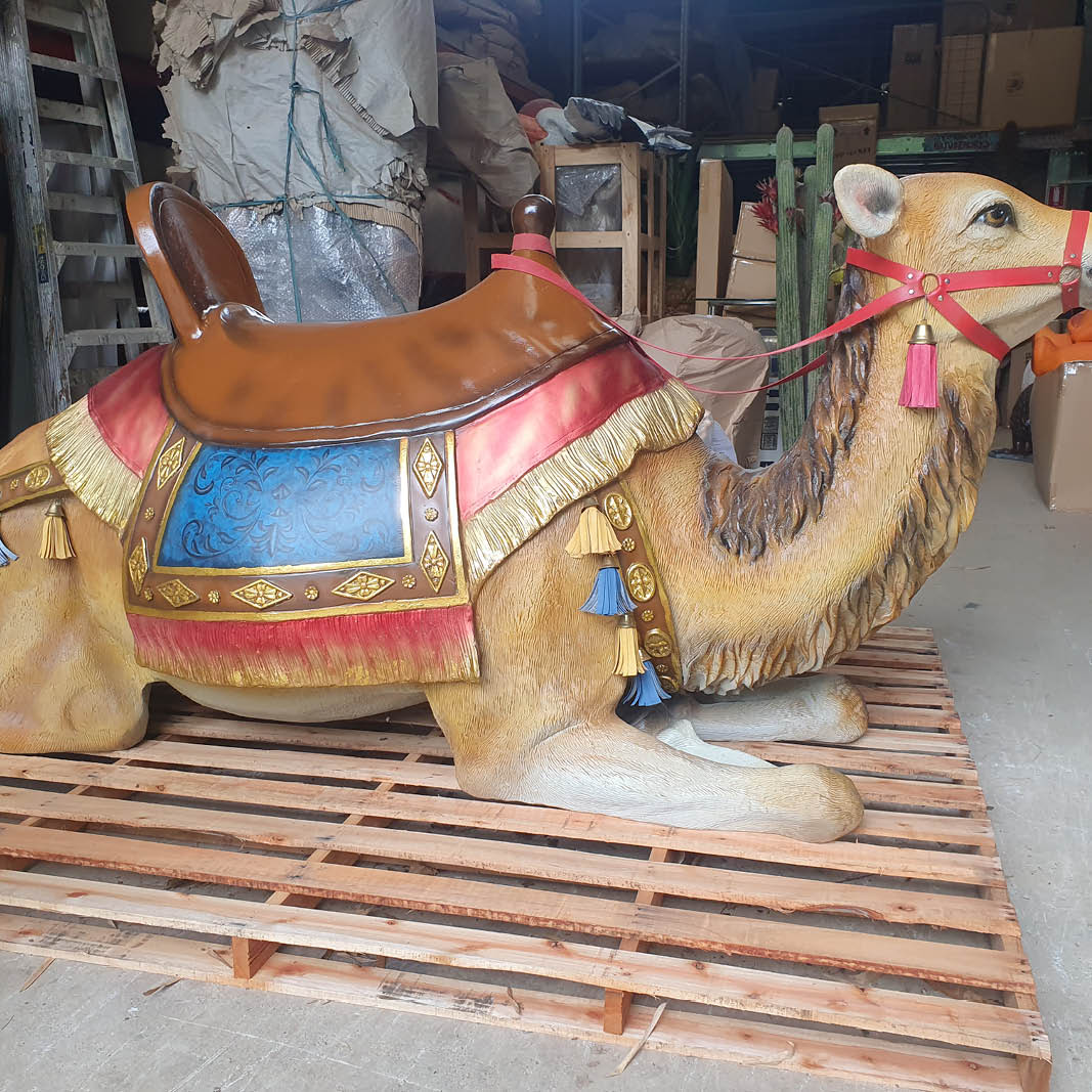 Natureworks Australia Lying Camel - side view - Y.3571- life-size replica