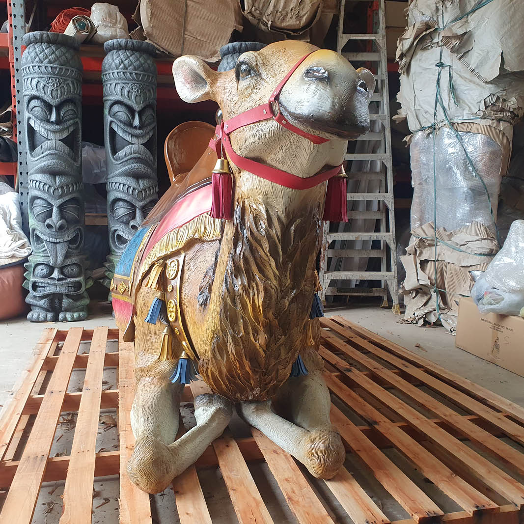 Natureworks Australia Lying Camel - Front view - Y.3571- life-size replica