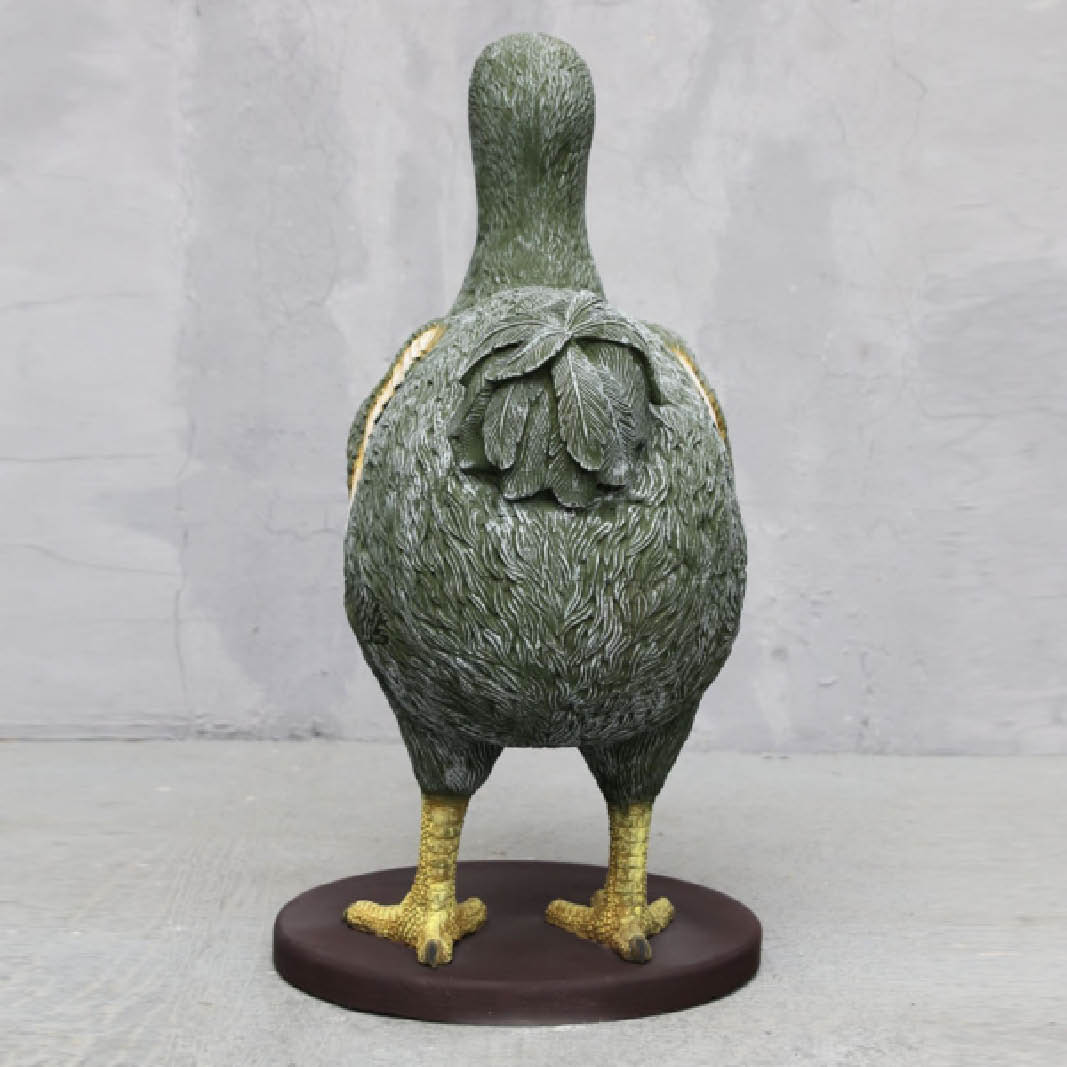 Natureworks Australia Dodo-Bird-Colourful-Rear-view