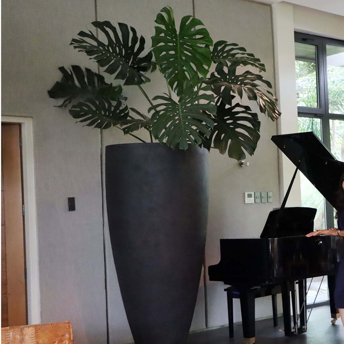 Natureworks Australia Flora Grande Planter - 6ft - 230121Matt Black- shown in house with Grande Piano