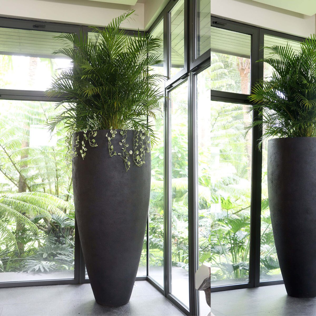 Natureworks Australia Flora Grande Planter - 6ft - 230121Matt Black- shown inside house