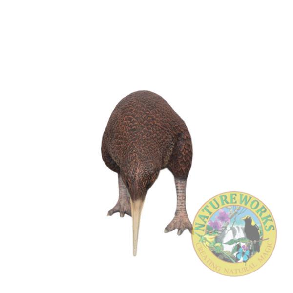 Natureworks Australia Kiwi Bird statueY.3114- New Zealand National Icon- standing pose - front view