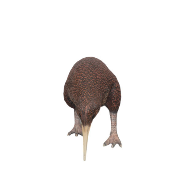 Natureworks Australia Kiwi Bird statueY.3114- New Zealand National Icon- standing pose - front view