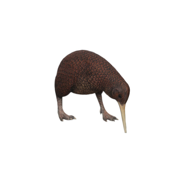 Natureworks Australia Kiwi Bird statueY.3114- New Zealand National Icon- standing pose - angle view