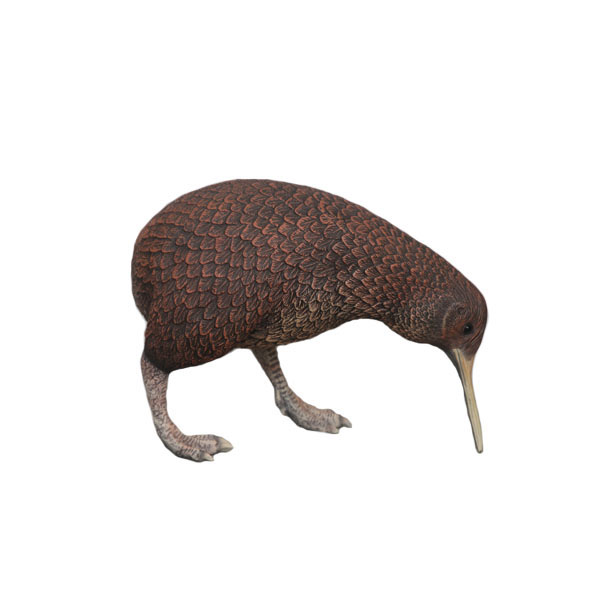 Natureworks Australia Kiwi Bird statueY.3114- New Zealand National Icon- standing pose - side view - right