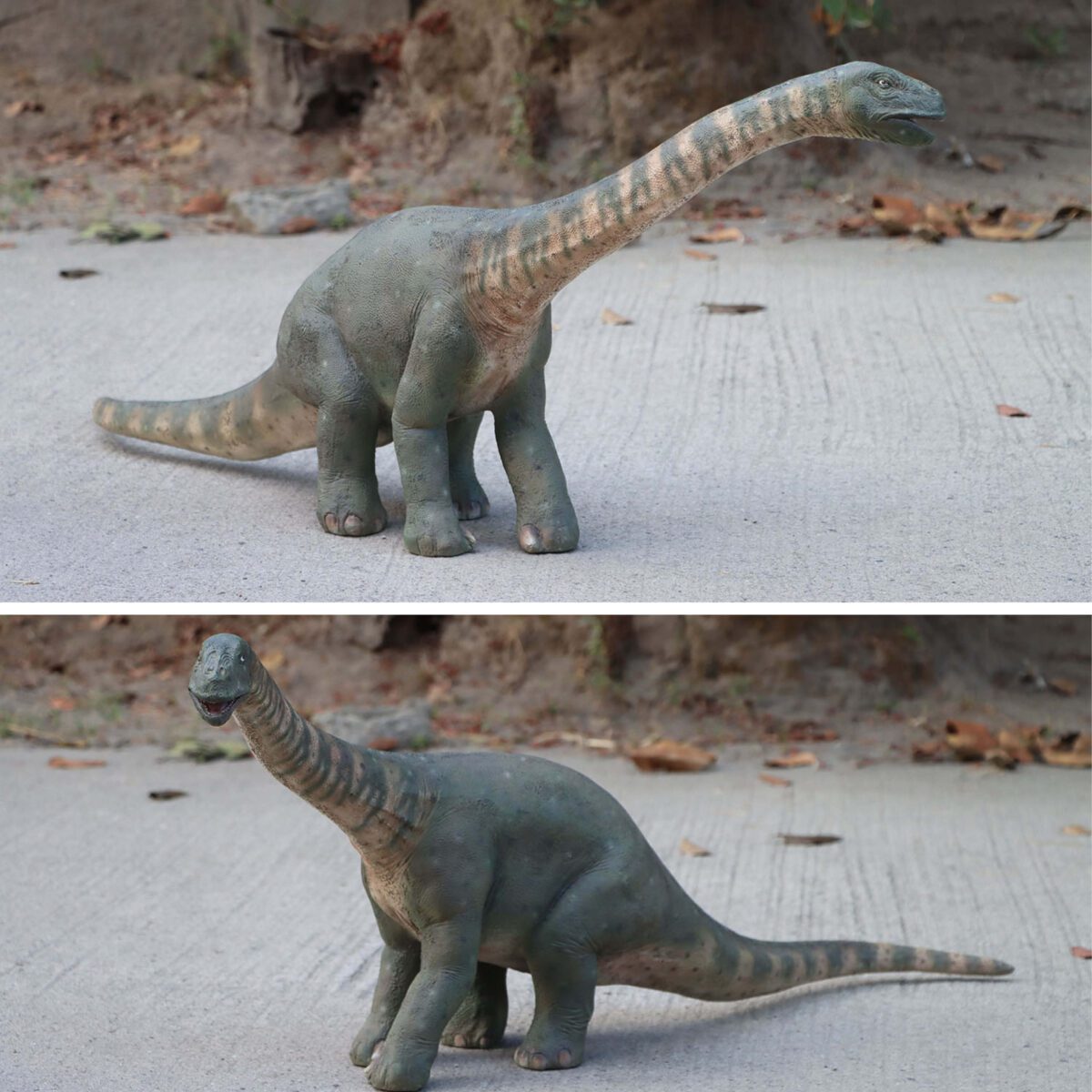 Natureworks Australia Rhoetosaurus browni mini dinosaur statue - 230127- showing Front views