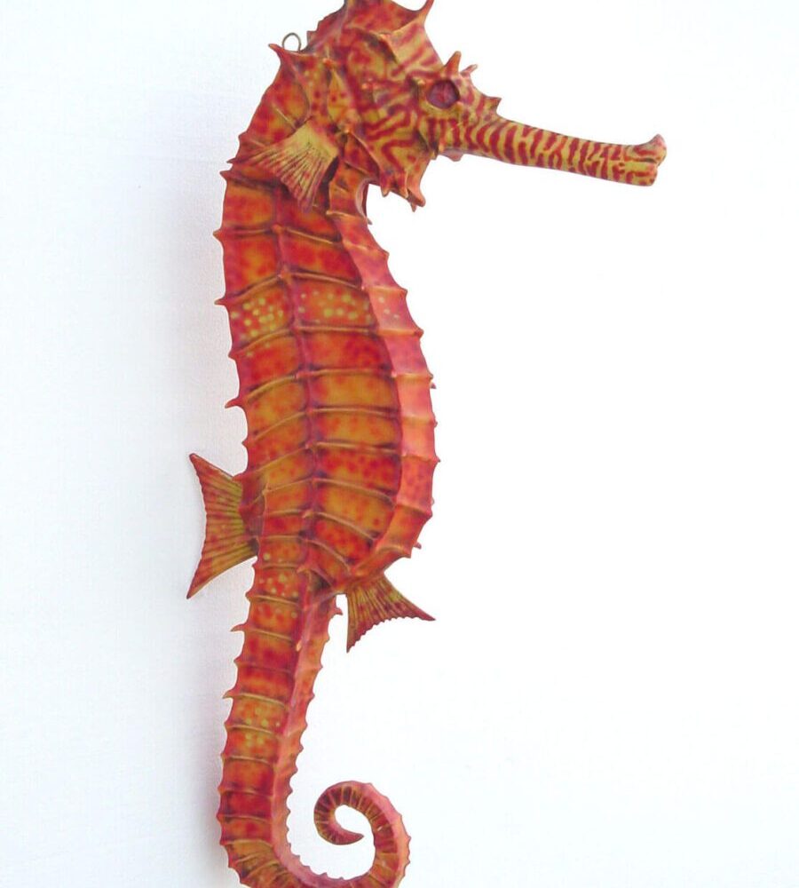 Small Seahorse