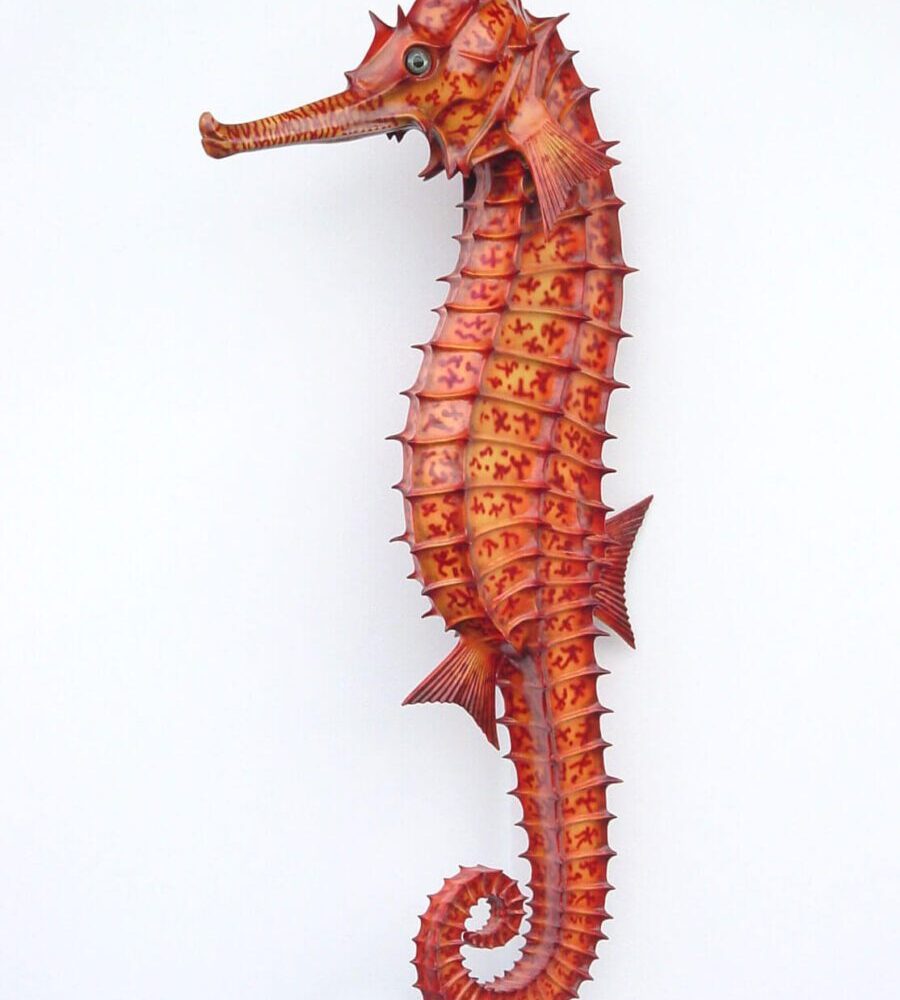 Big Seahorse