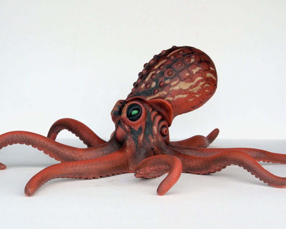 Wide Octopus