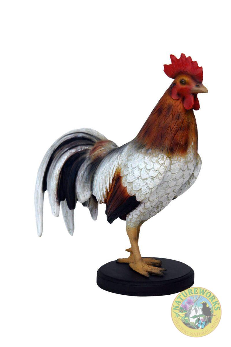 Natureworks Australia Rooster
