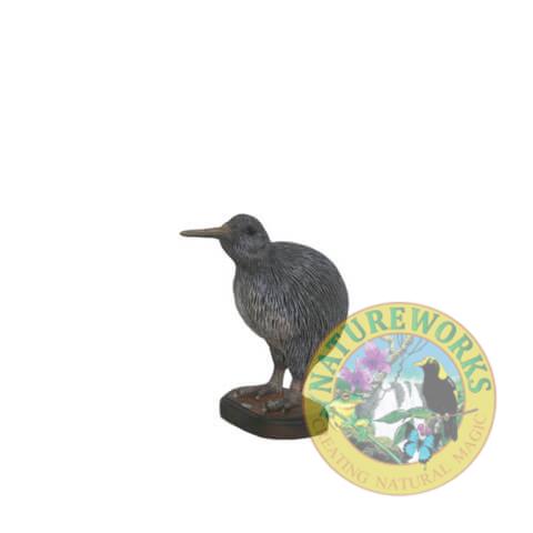 Kiwi Bird- Young Head-up