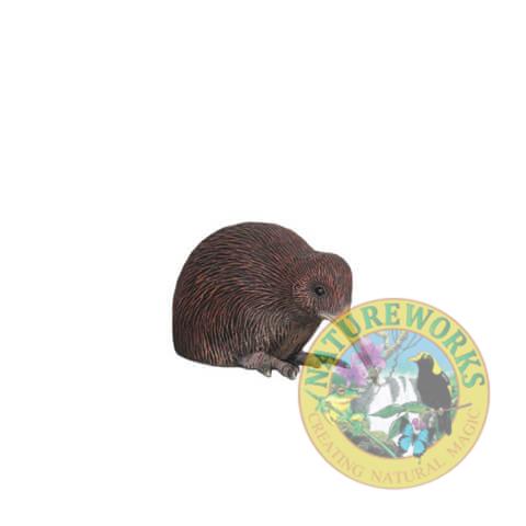 Kiwi Bird - Sitting