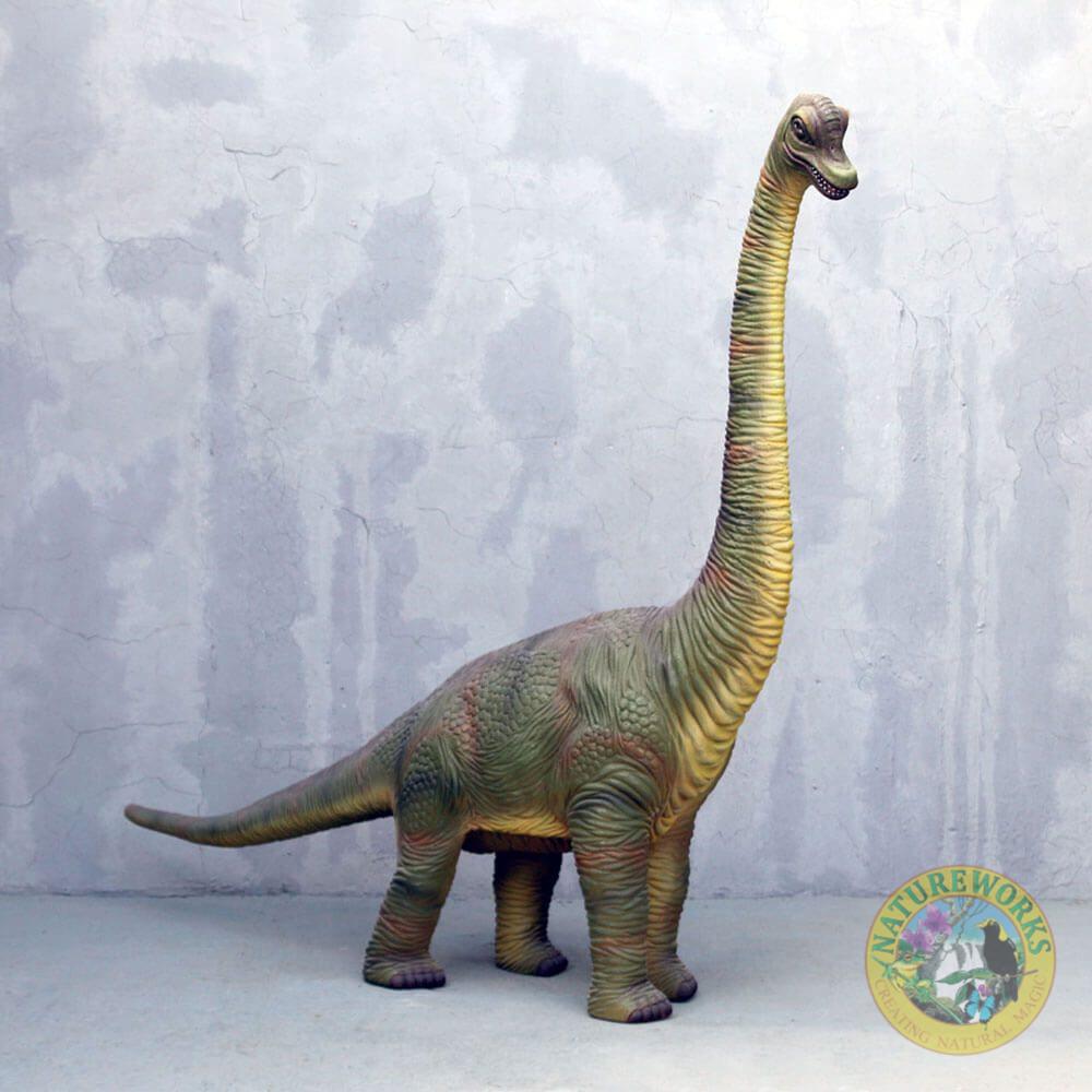 Natureworks Australia Baby Brachiosaurus