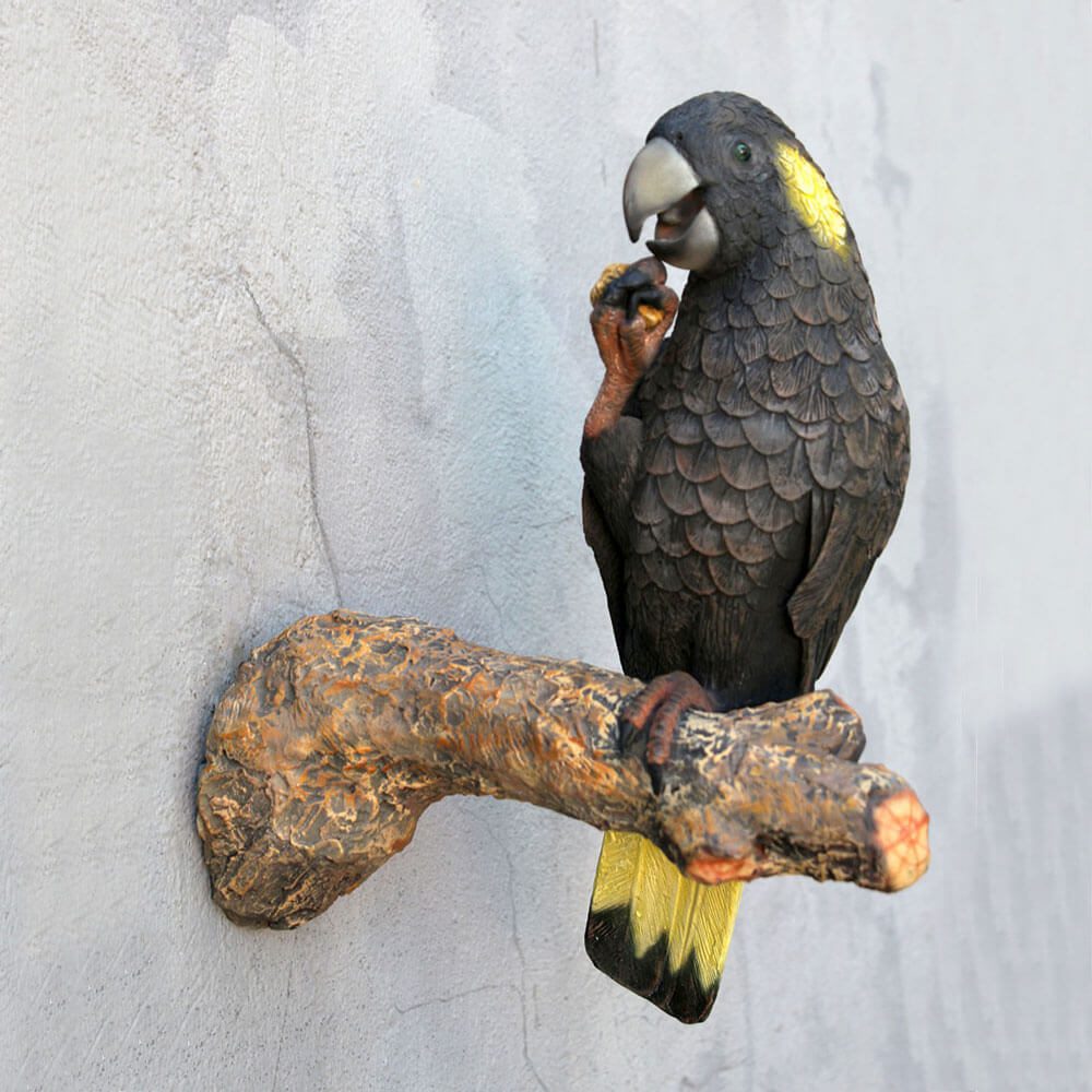 Yellow-tailed Black Cockatoo on Branch