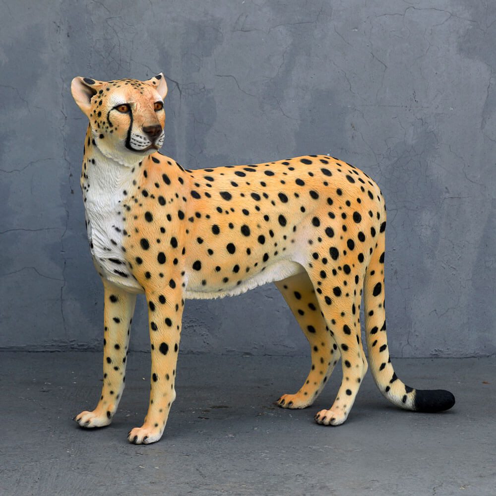Cheetah -Standing