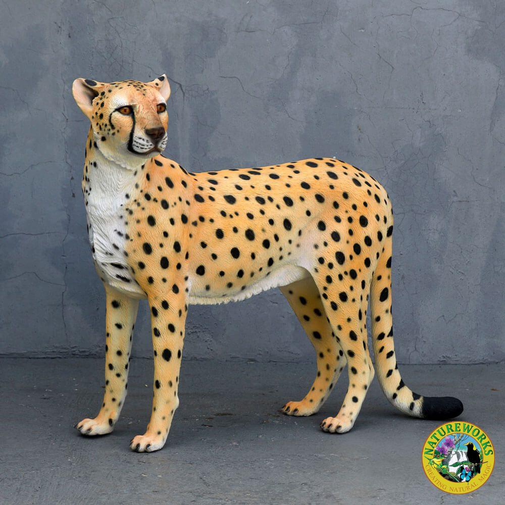 Cheetah -Standing